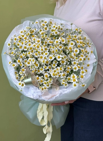Букет из 13 веток кустовой ромашки от интернет-магазина цветов в 