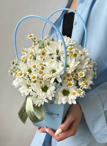 Композиция в сумочке «Ромашки и хризантемы» от интернет-магазина цветов в 