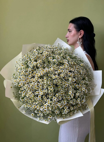 Букет «101 ветка кустовой ромашки» от интернет-магазина цветов в 