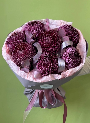 Букет «7 винных хризантем БИГУДИ» от интернет-магазина цветов в 