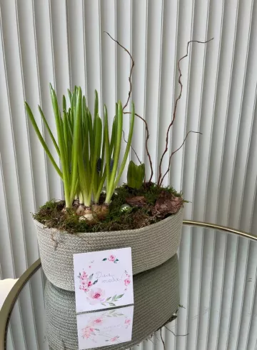 Композиция «Пробуждение М» от интернет-магазина цветов в 