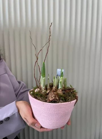 Композиция  «Пробуждение S» от интернет-магазина цветов в 