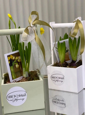 Композиция  «Ящичек с луковкой» от интернет-магазина цветов в 